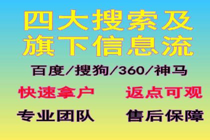 专业SEM代运营推广公司成功案例分享
